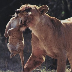 getdown*