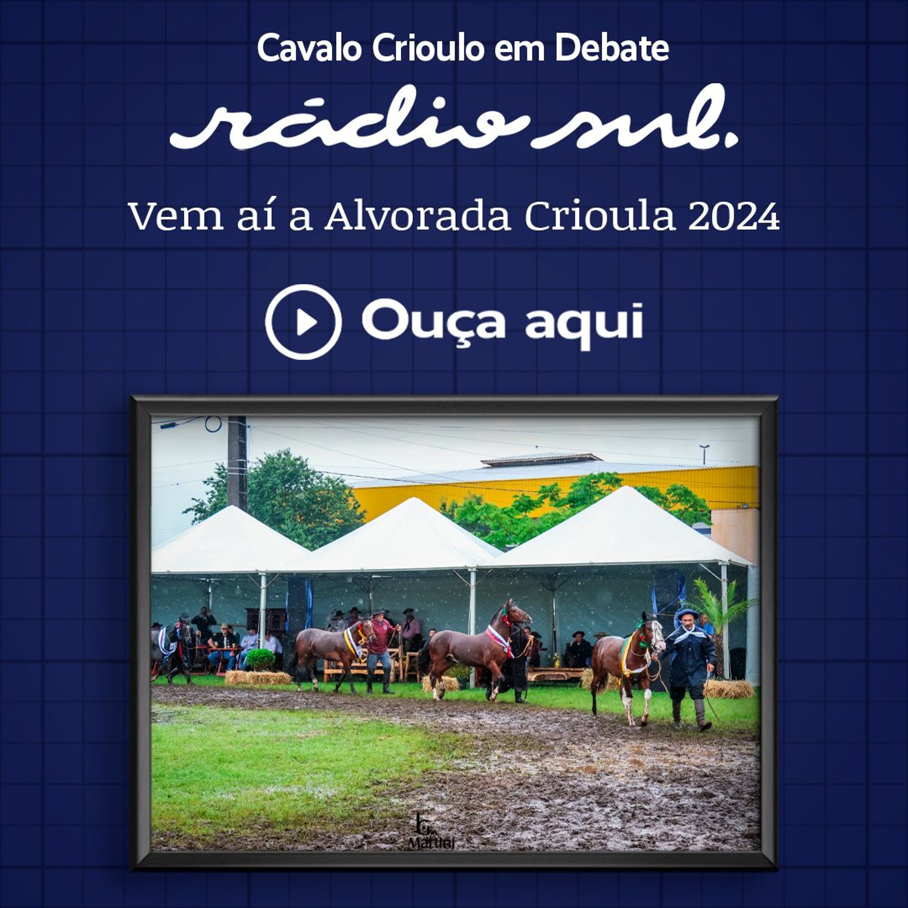 Radiosul.net