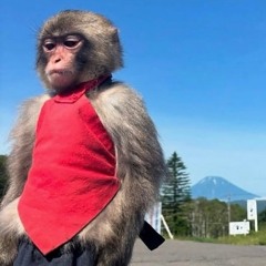 bad day freestyle.mp3