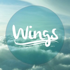 Birdy - Wings (Hendy Remix)