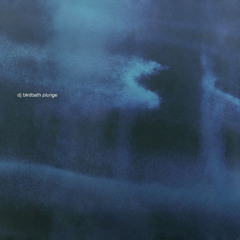 DJ Birdbath - Pieces (stretch mix)