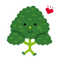 我是松樹啊