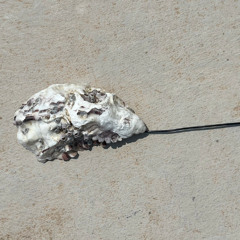 Sounding Lines performance at Villa Arson / TBA21 - stereo excerpt