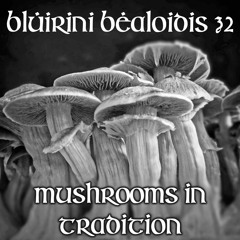 Blúiríní Béaloidis 32 - Mushrooms In Tradition
