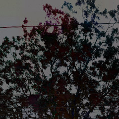 DIM SILVER x Hydrocry - Hell Without Sins ( prod. by Aquinas )