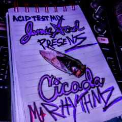 Jamie Acid - Cicada Rhythmz - Acid test dj mix 2025