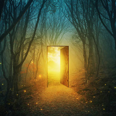 Invisible Doors (remix)