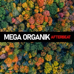 AFTERBEAT - Mega Organik (Music Podcast)