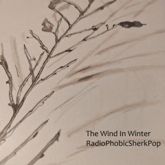 The Wind in Winter - RadioPhobicSherkPop