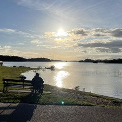 2am Kinsale psilocybin