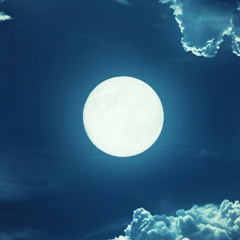 At Night - Official Song