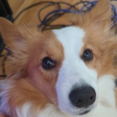 ENERGETIC//EDM//DNB//ELECTRONIC