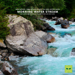Summer Morning Water Stream