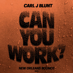 Carl J Blunt - Can U Work