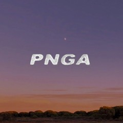 PNGA 004 w/ Painted Igloo