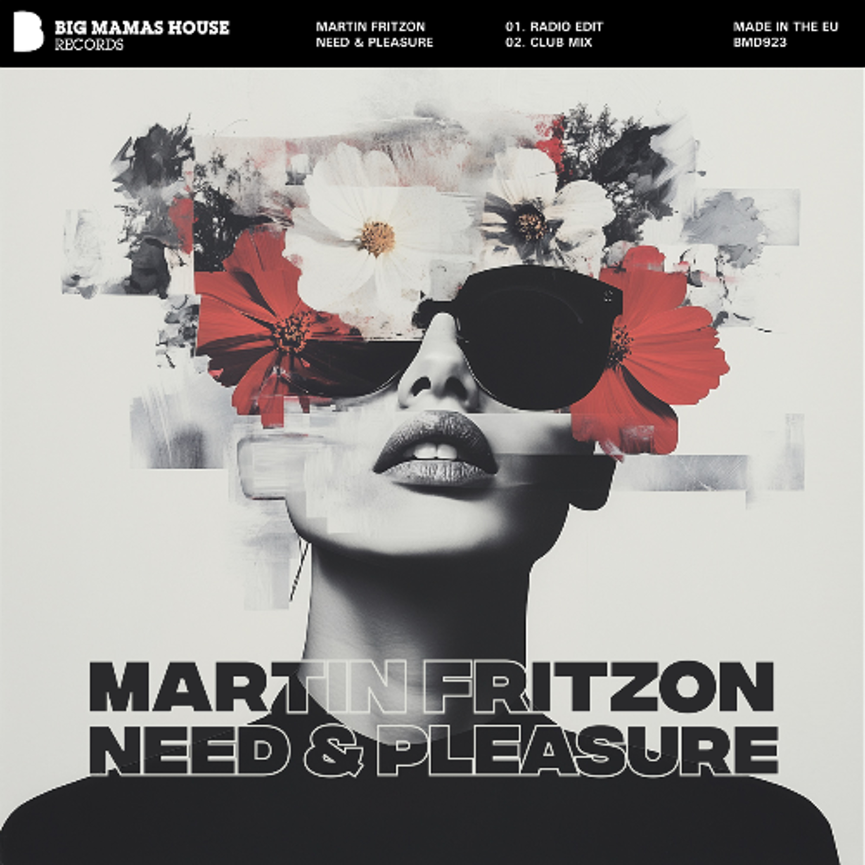 Martin Fritzon - Need & Pleasure