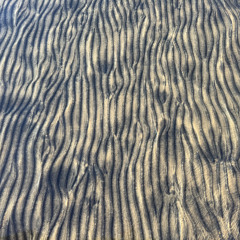 [10-10] Tahoe Tremors