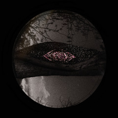 Whispers  (Ambient)
