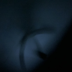 Cant Trust By Maniac