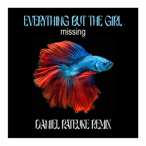 Everything But The Girl - Missing [Daniel Rateuke Remix]  **free download**