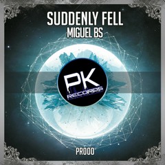 PREMIERE: [PR000] Miguel BS - Suddenly Fell (Original Mix) FREE DONWLOAD in BUY ツ