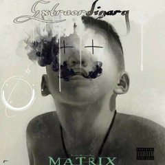The Matrix - Extraordinary [Exp 1]