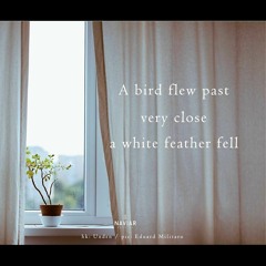The bird that flew forever [naviarhaiku330]
