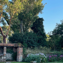 never enough freestyle