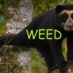 schranz mix @ underground Lublin