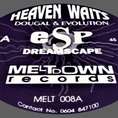 Dougal & Evolution - Heaven Waits