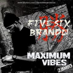 MAXIMUM VIBES THE REMIX