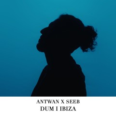Ant Wan X Seeb - Dum X I Took A Pill In Ibiza