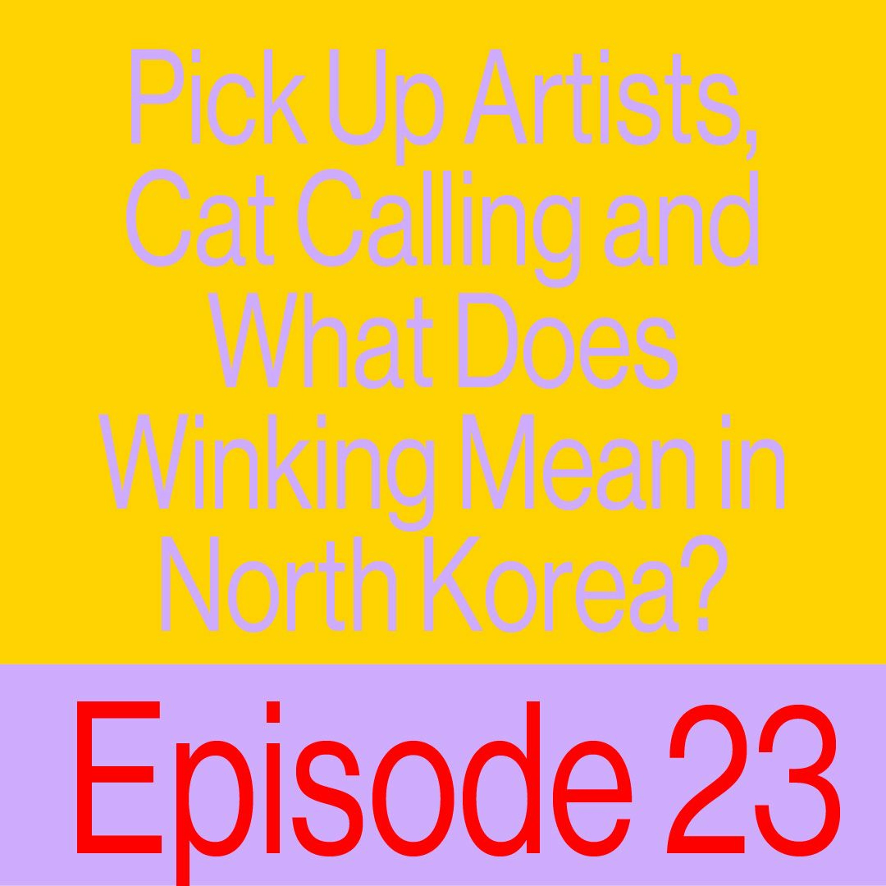 Episode 23: Pick Up Artists, Cat Calling, And What Does Winking Mean In North Korea?