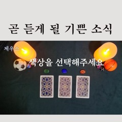타로 곧 듣게 될 기쁜 소식