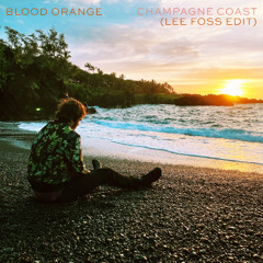 Blood Orange - Champagne Coast (Lee Foss Edit)
