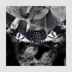 Ambion, Kingo - Haelin [FREE DOWNLOAD]