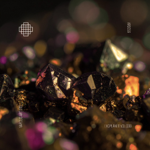 507# PREMIERE: Noisync - Assembler Interpreter [Arido Records]