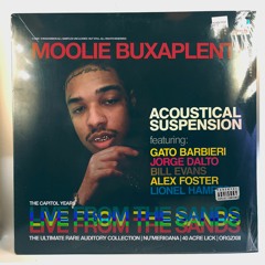 birds_in_the_trap_sing_moolie_buxplenty.wav