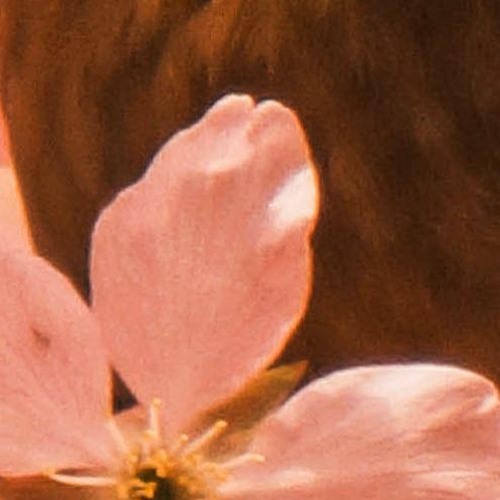 .•°¤*(¯`★´¯)* 𝔹𝕠 𝔼𝕟 - 𝕄𝕪 𝕋𝕚𝕞𝕖 *(¯´★`¯)*¤°•.