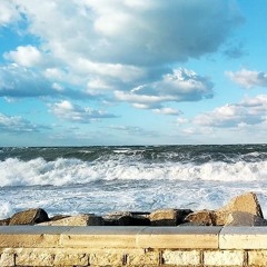 Electric Waves
