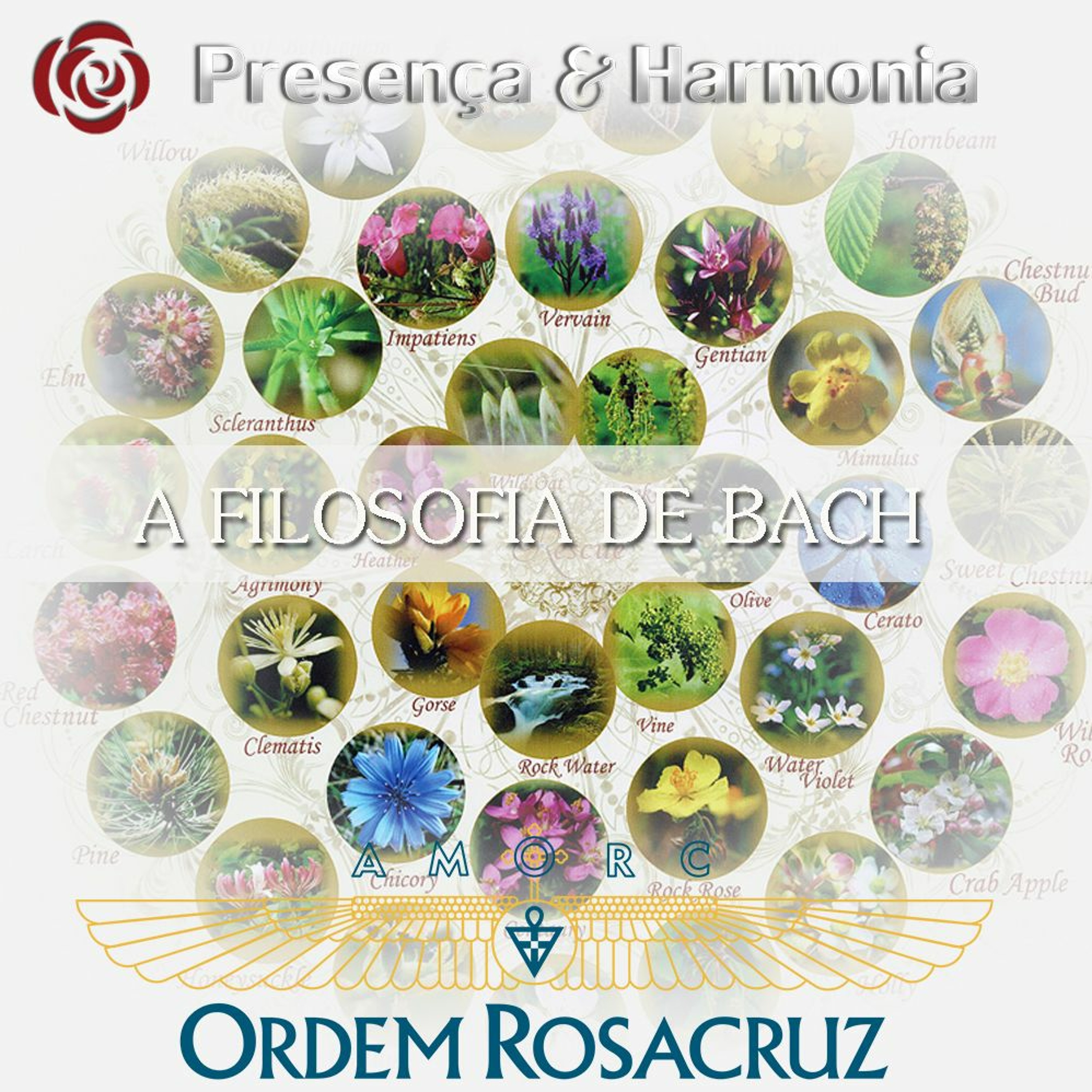 Podcast Rosacruz