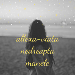 alexxa din omul bun remake