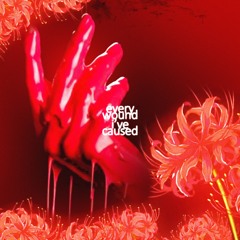 every wound i've caused