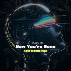 Now You're Gone (Viral Acid Techno Remix)