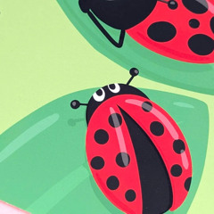 bugs 🐞