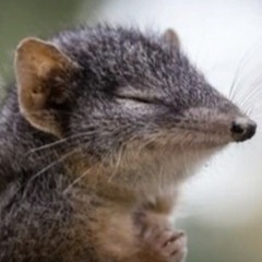 Slattuhs - cold heart