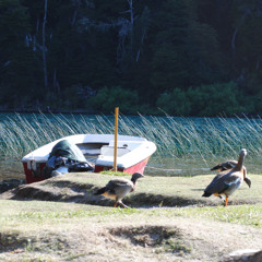 esa carita de disociada