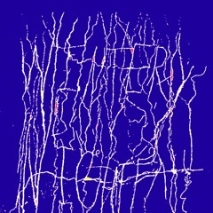 Apparitions of the Blue Hour