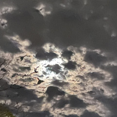 im god (clams casino)