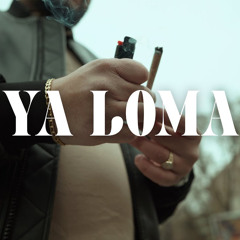 VZS - YA LOMA